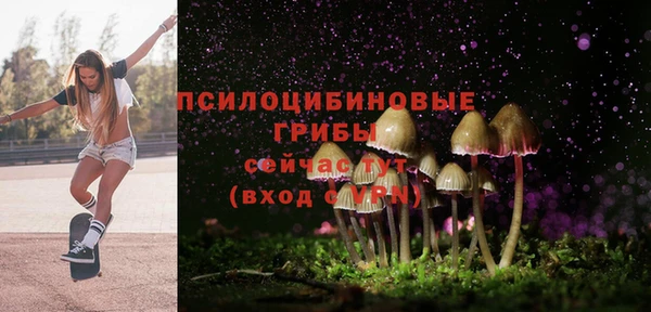 mdma Богданович