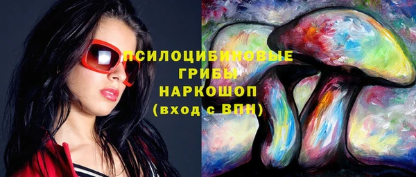 PSILOCYBIN Богородск