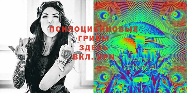 соль курить ск Богородицк