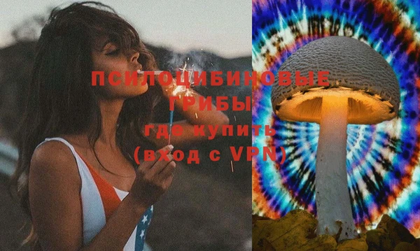 PSILOCYBIN Богородск