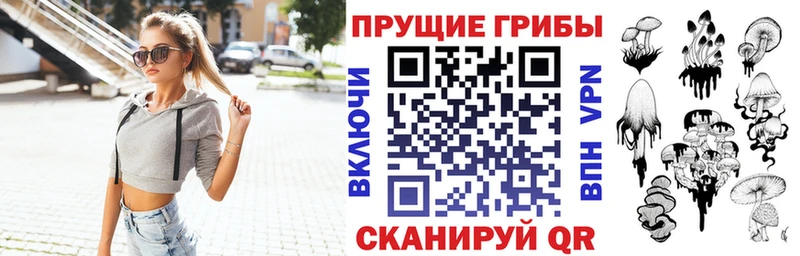 купить наркотики сайты  ссылка на мегу как войти  Псилоцибиновые грибы мухоморы  Сланцы 